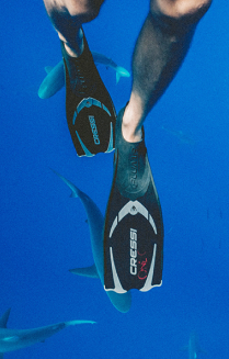 Bi-fins