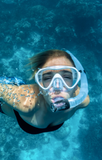 Snorkels